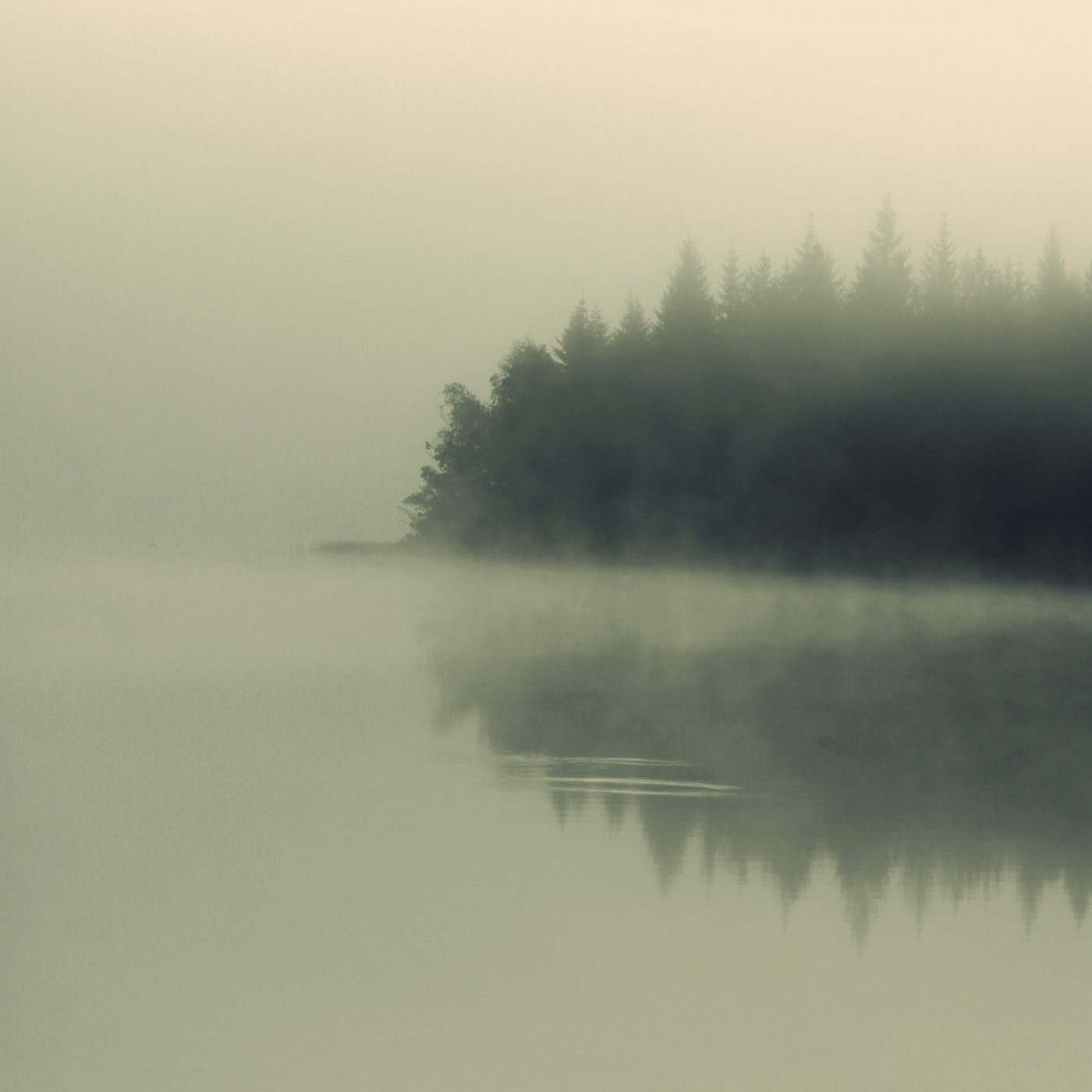 Tuve - Kim Høltermand