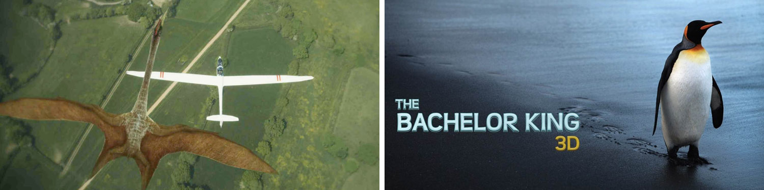 Flying Monsters - Batchelor King