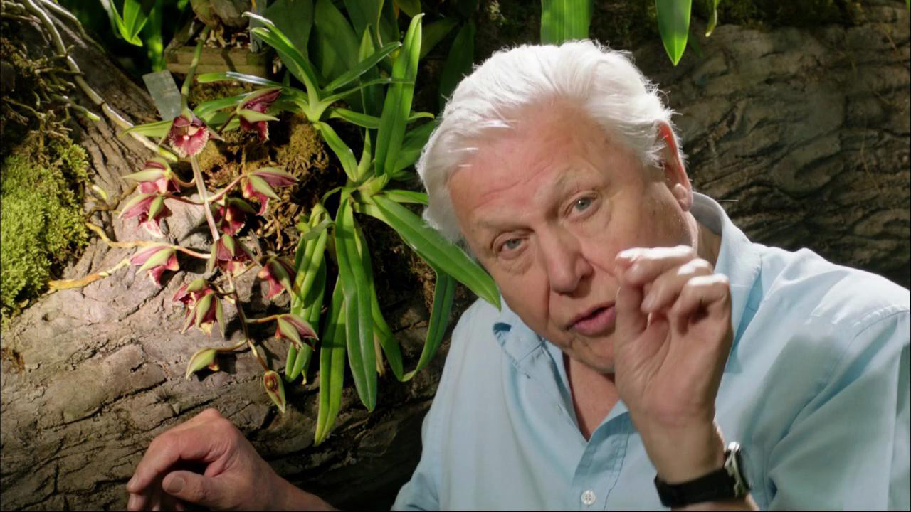 Sir David Attenborough