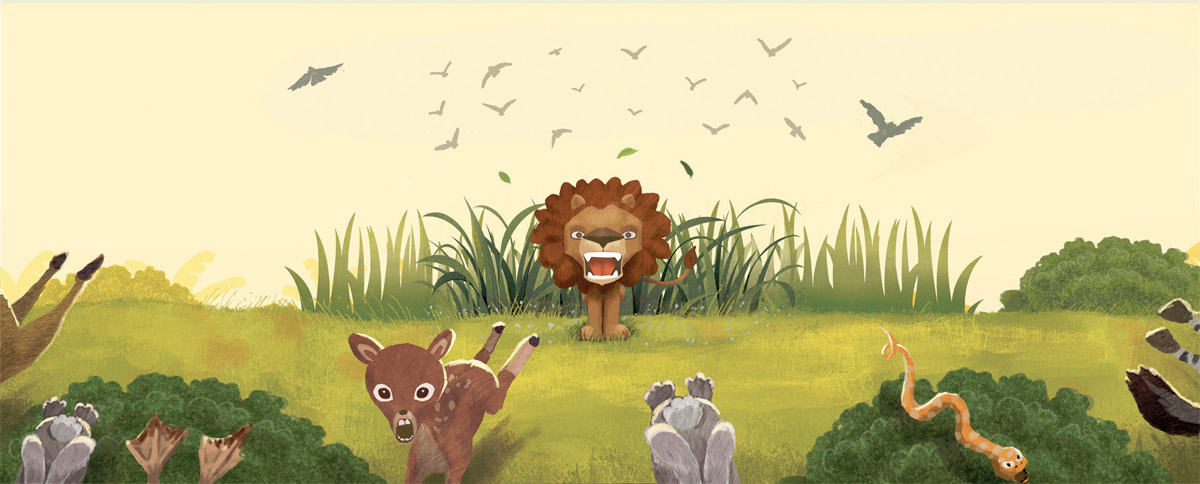 Lion Fawn Storybook