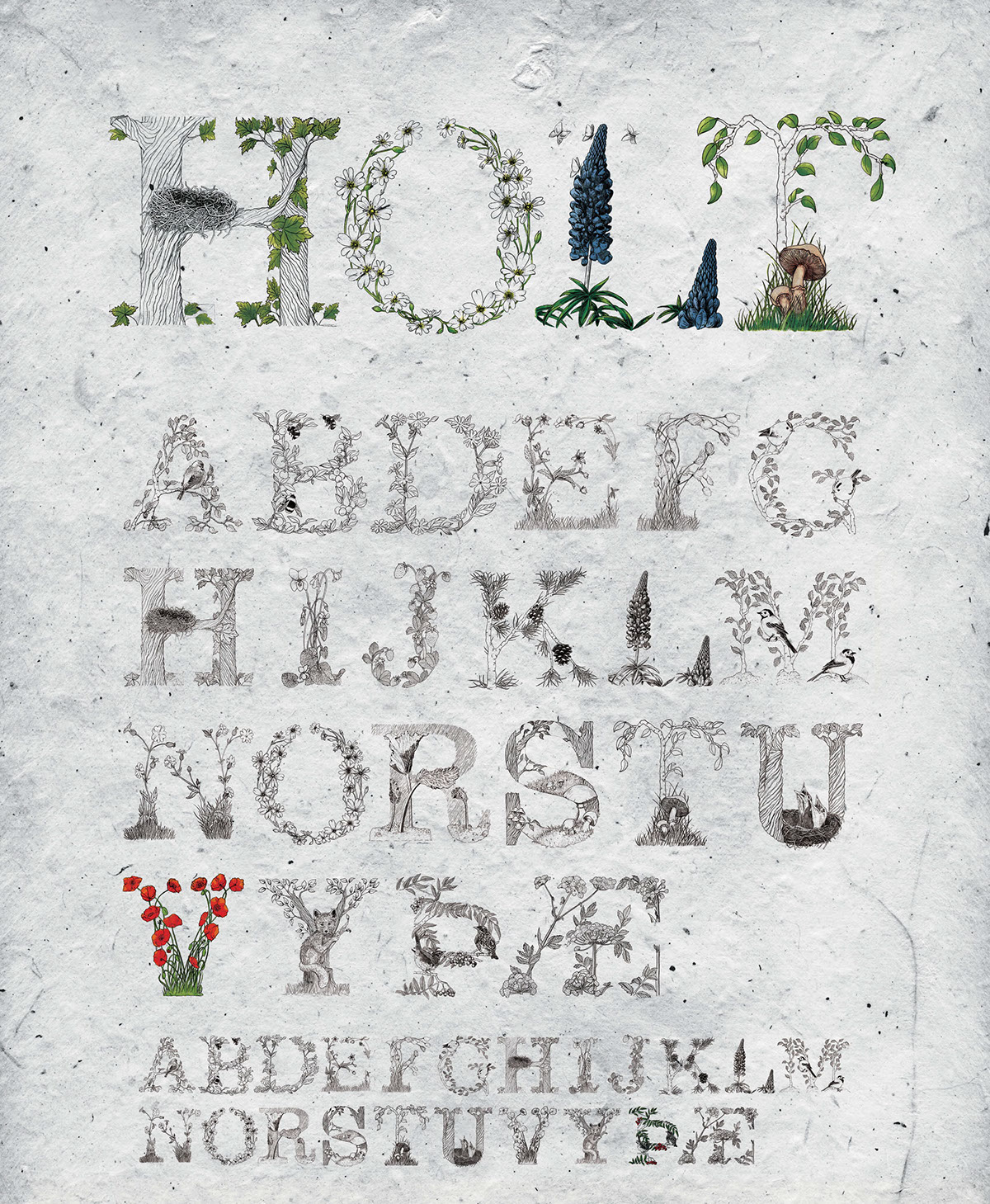 Holt
