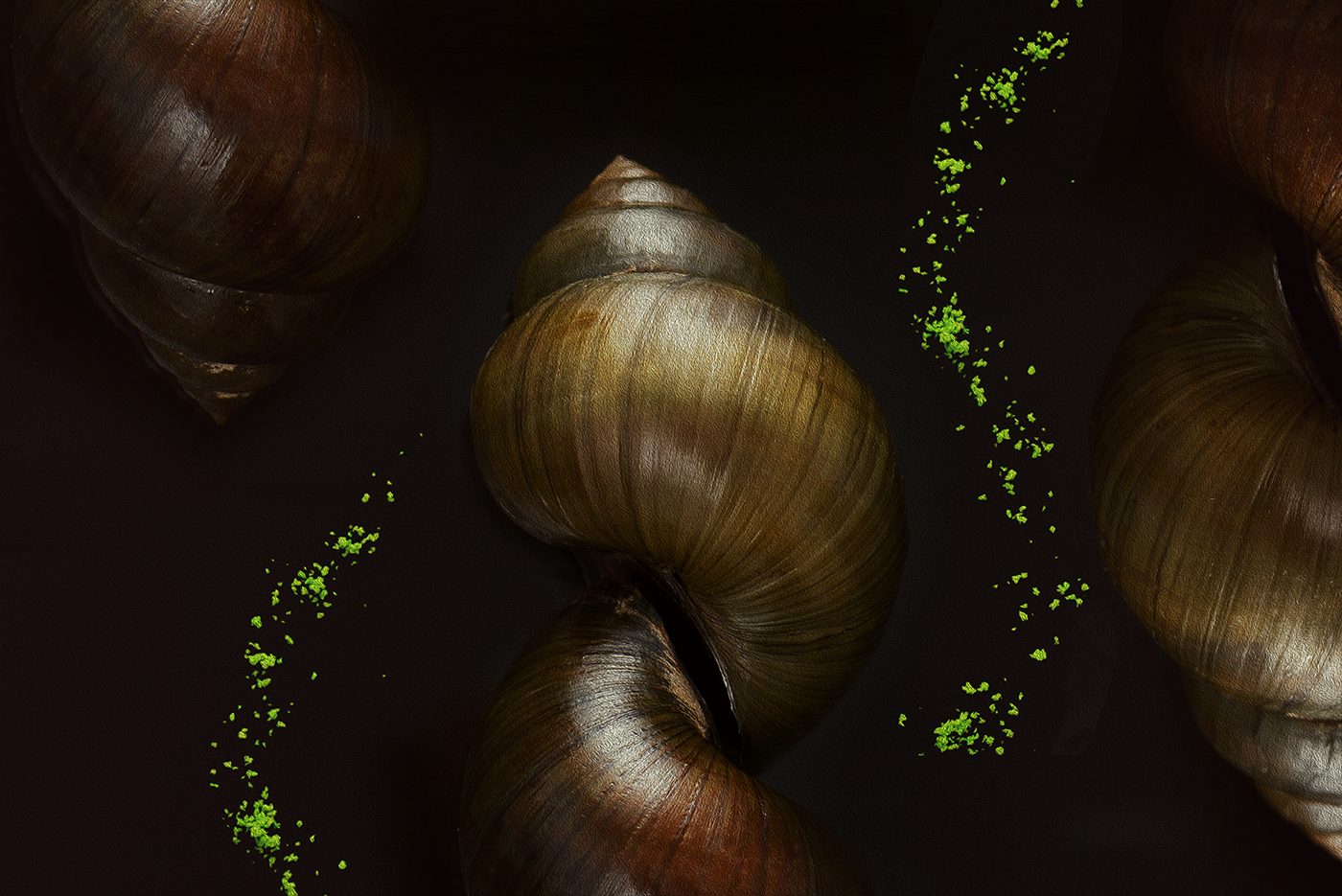Chinese Chives