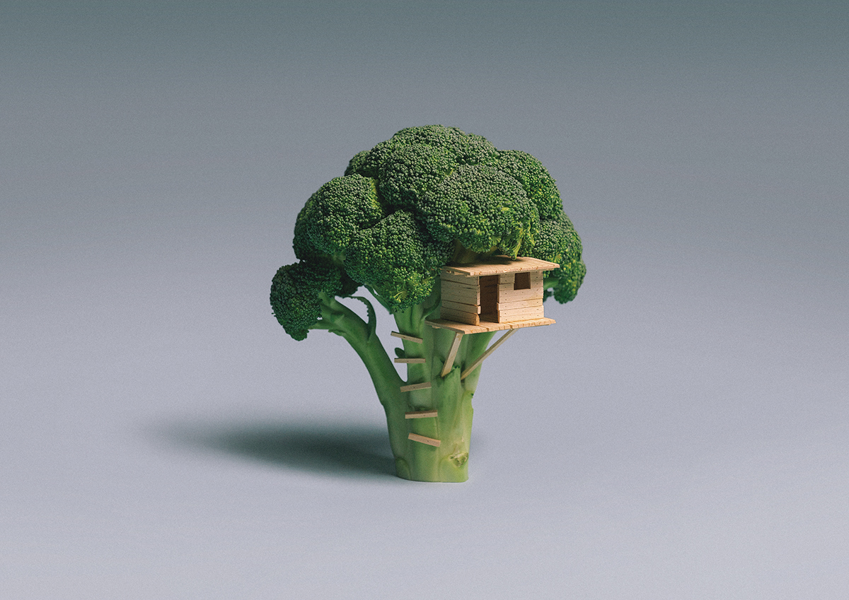 Broccoli House
